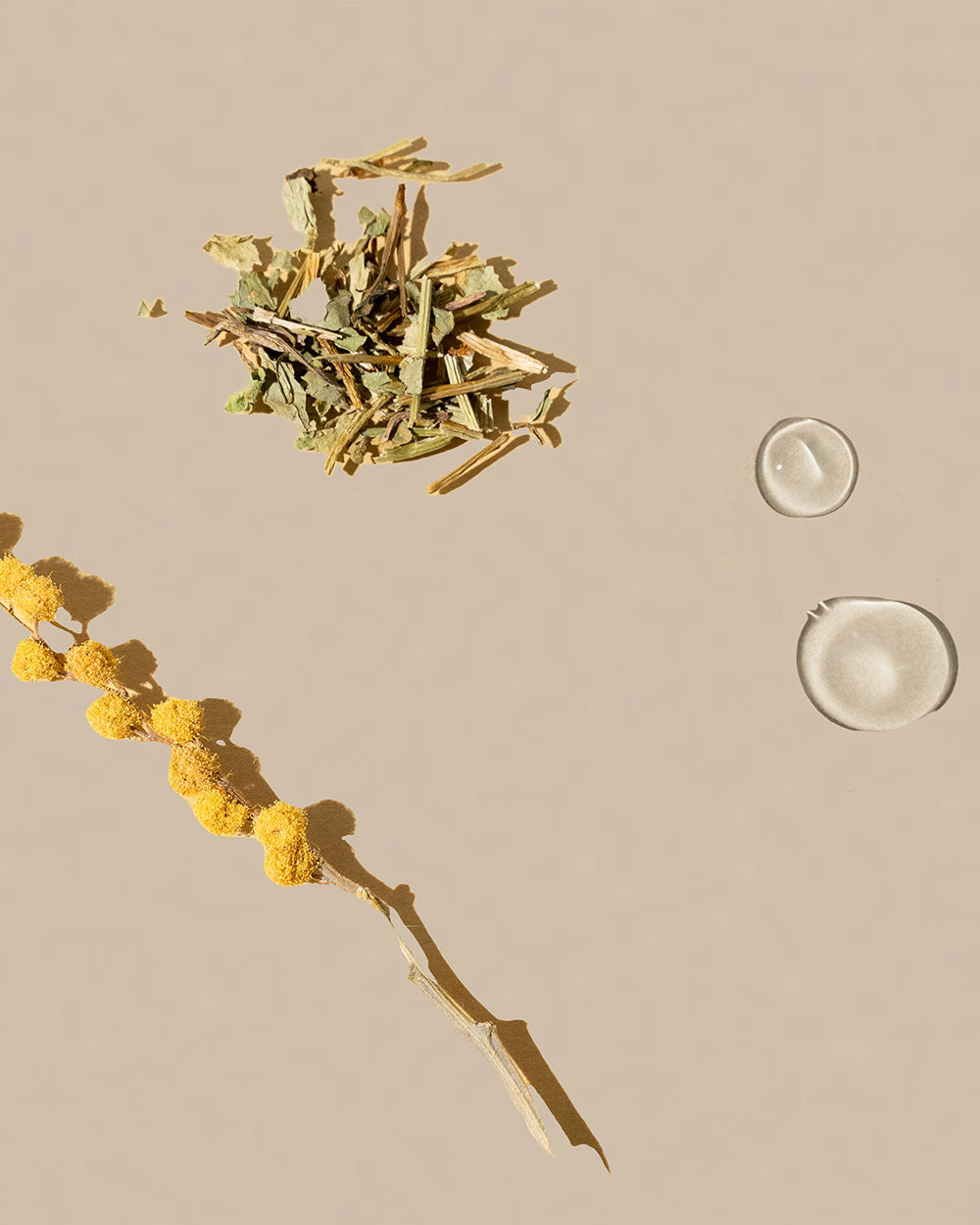 The Science of Virginskin